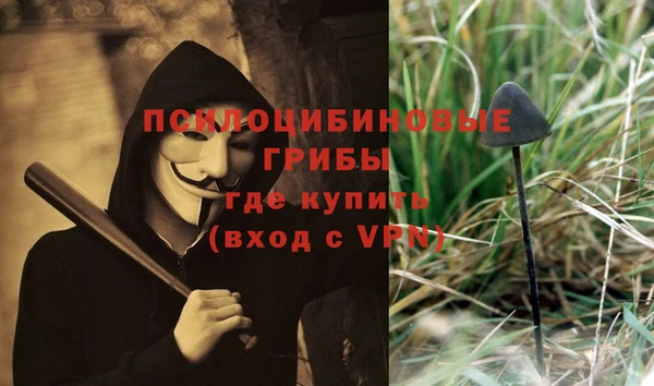 каннабис Алзамай