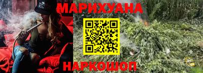 стаф Нальчик