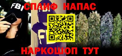 стаф Нальчик