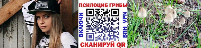Псилоцибиновые грибы Magic Shrooms  ОМГ ОМГ ONION  Урюпинск 